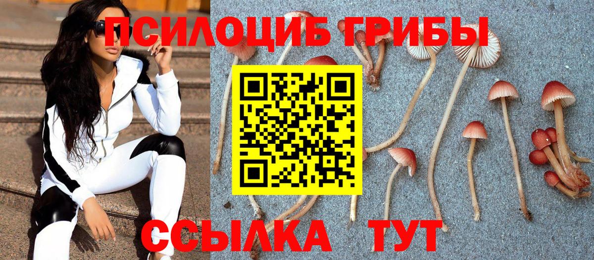 Галлюциногенные грибы Magic Shrooms  Вход с VPN  Мирный 